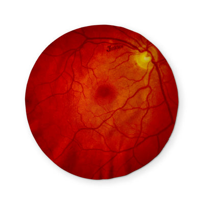 AN 👁 EYEBALL YOU CAN CLEAN YOUR GLASSES WITH