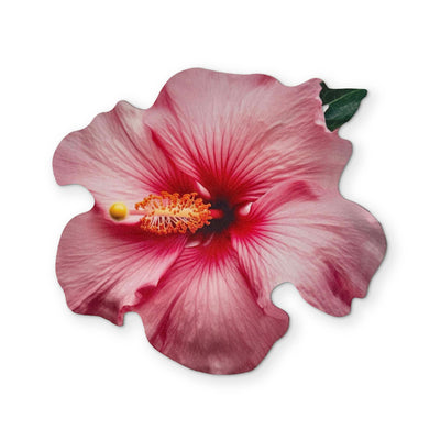 🌺 A HIBISCUS FLOWER YOU CAN CLEAN YOUR GLASSES WITH