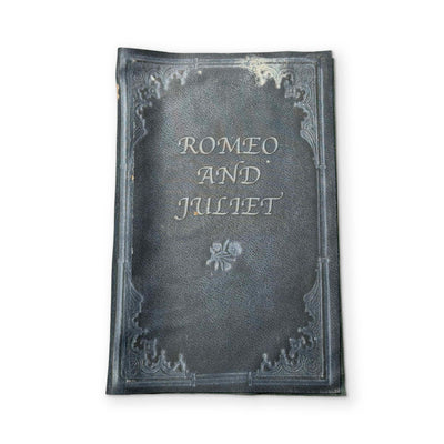 ROMEO & JULIET - A BOOK YOU CAN CLEAN YOUR GLASSES WITH