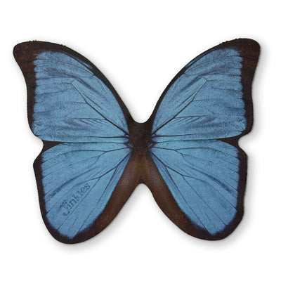 🦋 A BUTTERFLY YOU CAN CLEAN YOUR GLASSES WITH