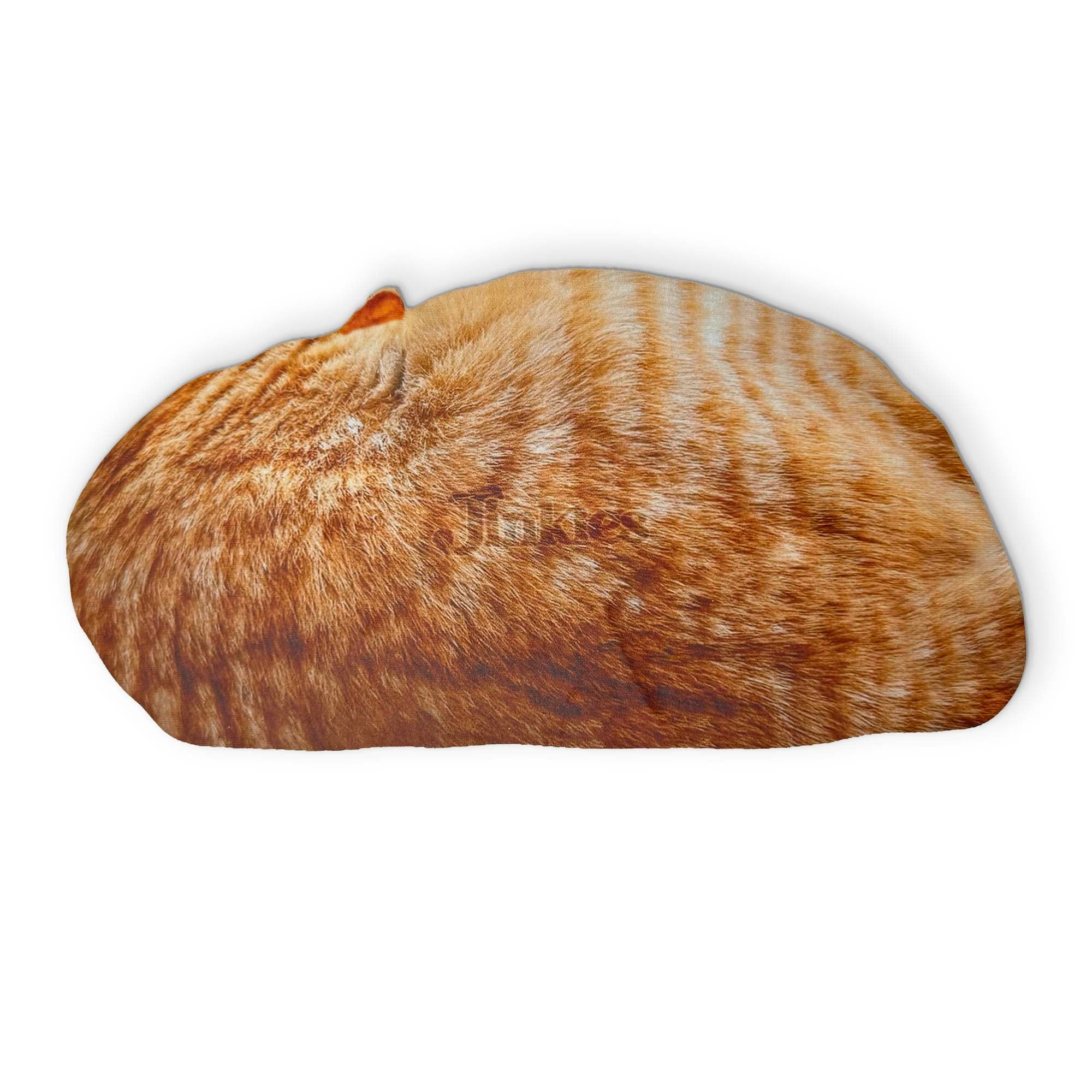 🐈 A SLEEPING CAT YOU CAN CLEAN YOUR GLASSES WITH