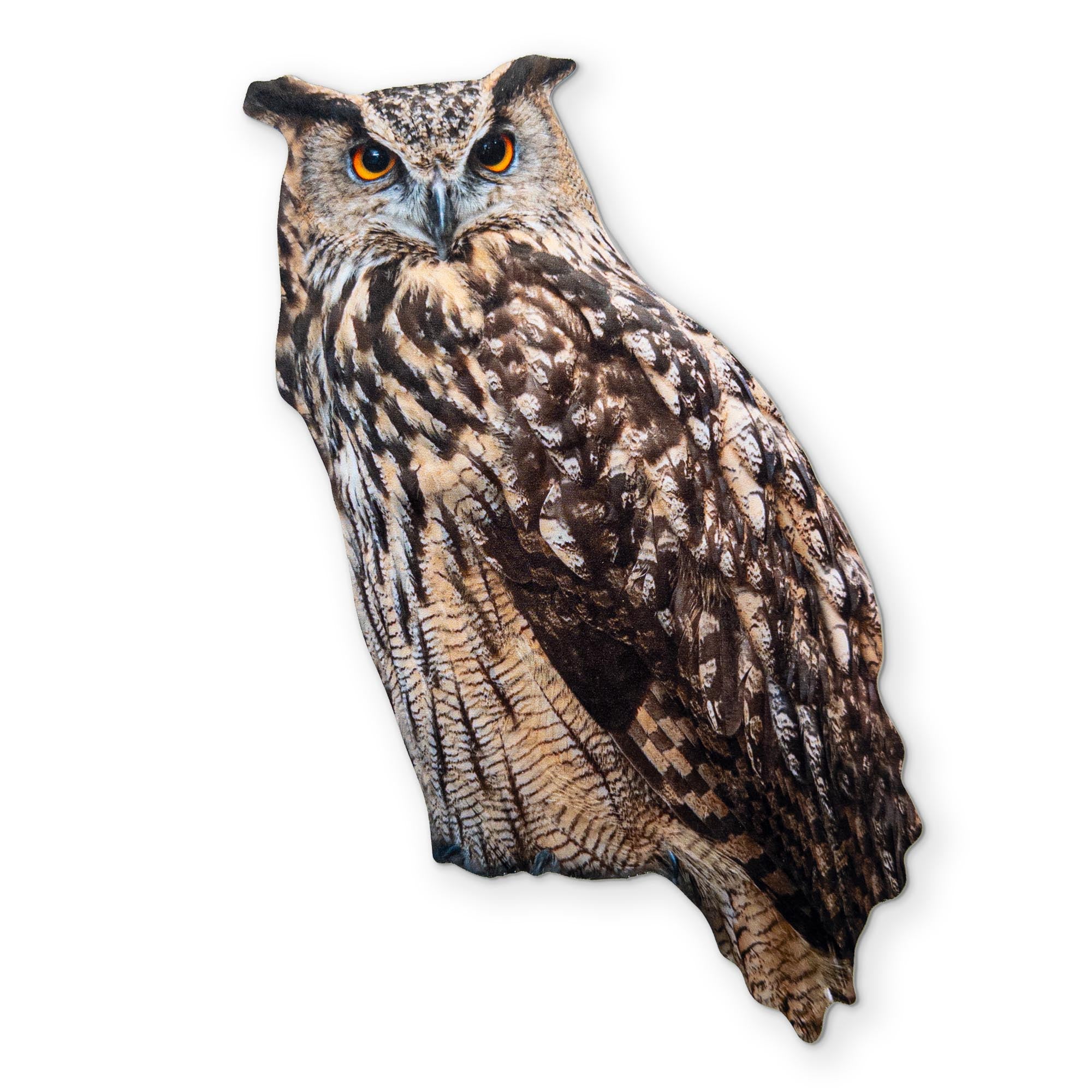 AN OWL YOU CAN CLEAN YOUR GLASSES WITH