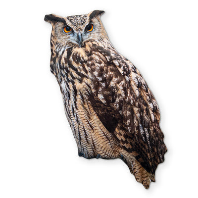 AN OWL YOU CAN CLEAN YOUR GLASSES WITH