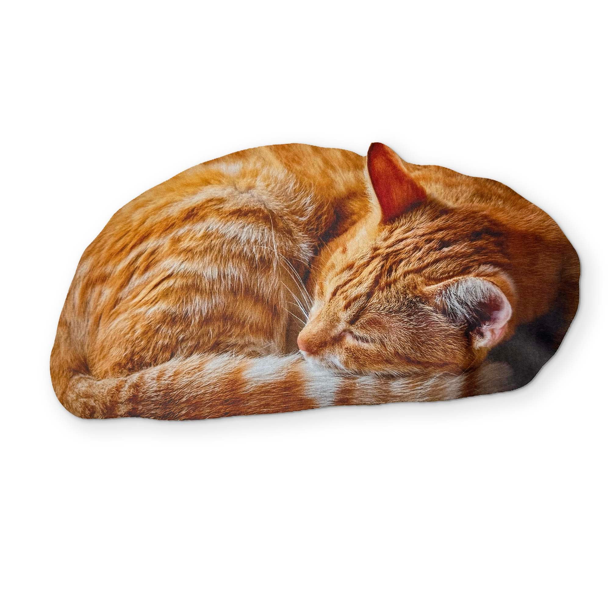 🐈 A SLEEPING CAT YOU CAN CLEAN YOUR GLASSES WITH