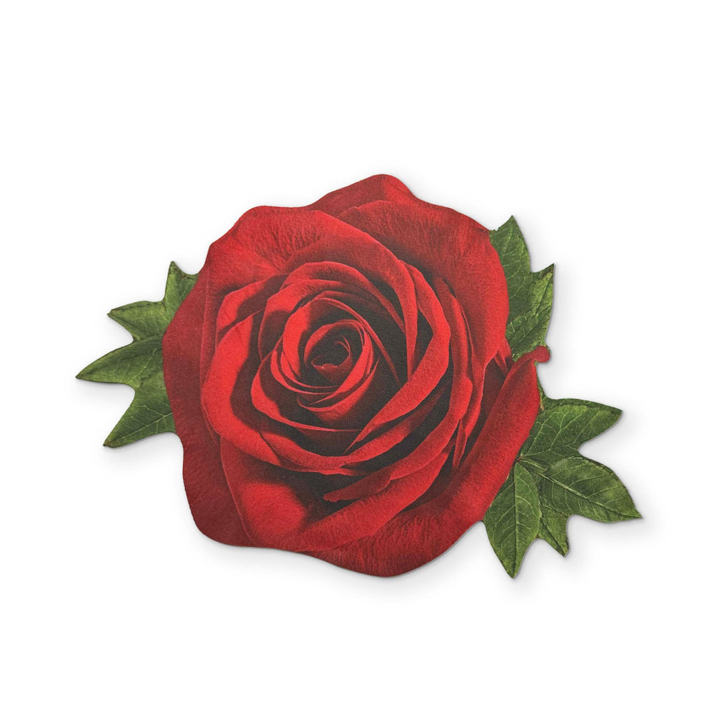 🌹 A ROSE YOU CAN CLEAN YOUR GLASSES WITH