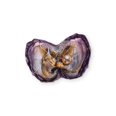 AN OYSTER YOU CAN CLEAN YOUR GLASSES WITH