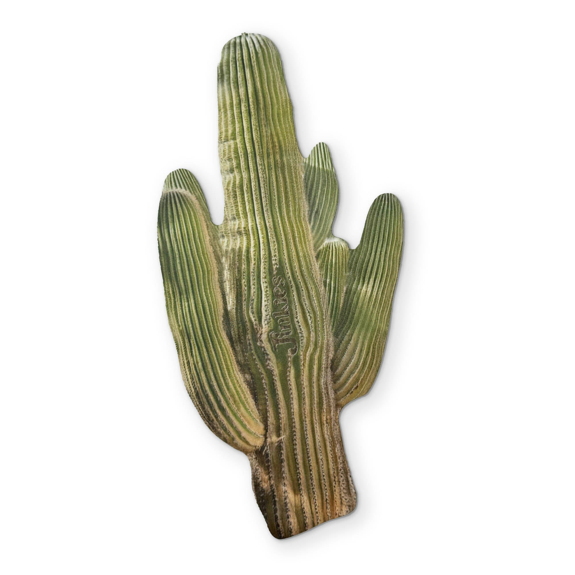 🌵 A CACTUS YOU CAN CLEAN YOUR GLASSES WITH