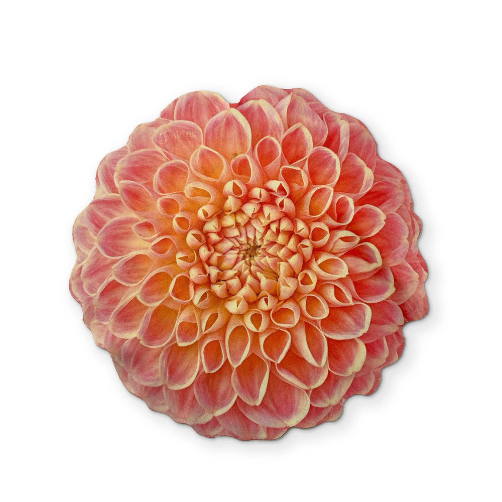A DAHLIA FLOWER YOU CAN CLEAN YOUR GLASSES WITH