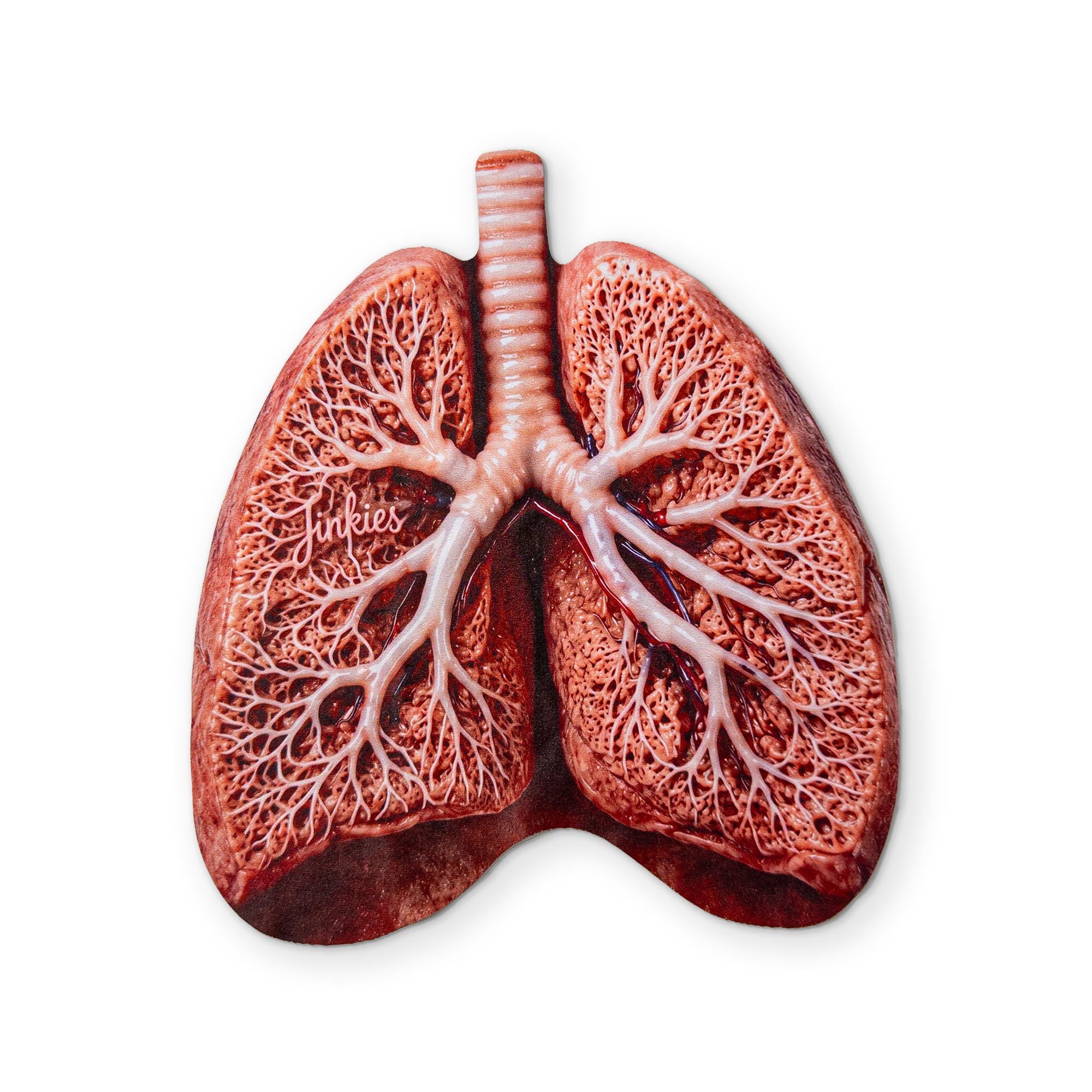 LUNGS YOU CAN CLEAN YOUR GLASSES WITH