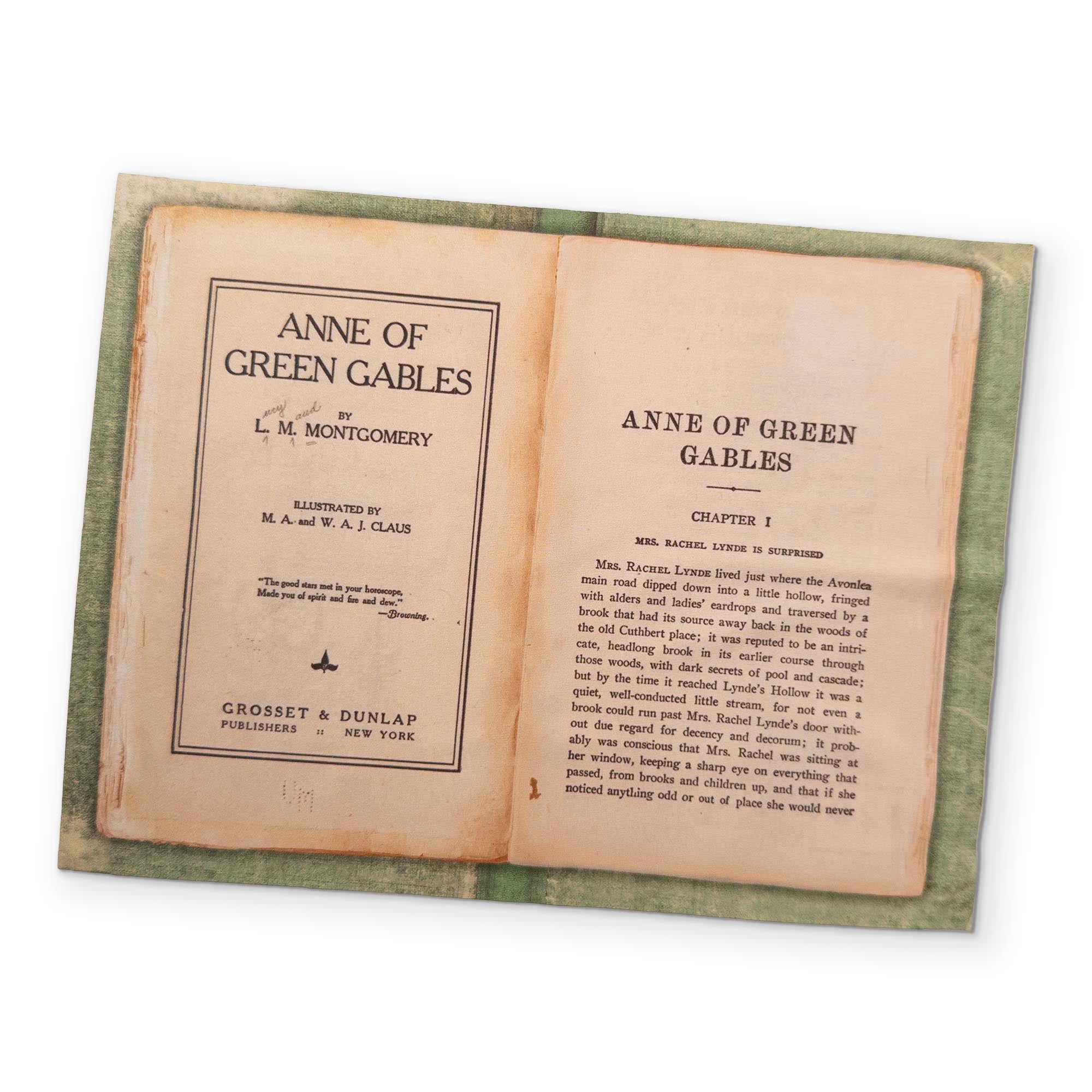 ANNE OF GREEN GABLES - A BOOK YOU CAN CLEAN YOUR GLASSES WITH