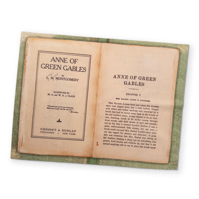 ANNE OF GREEN GABLES - A BOOK YOU CAN CLEAN YOUR GLASSES WITH