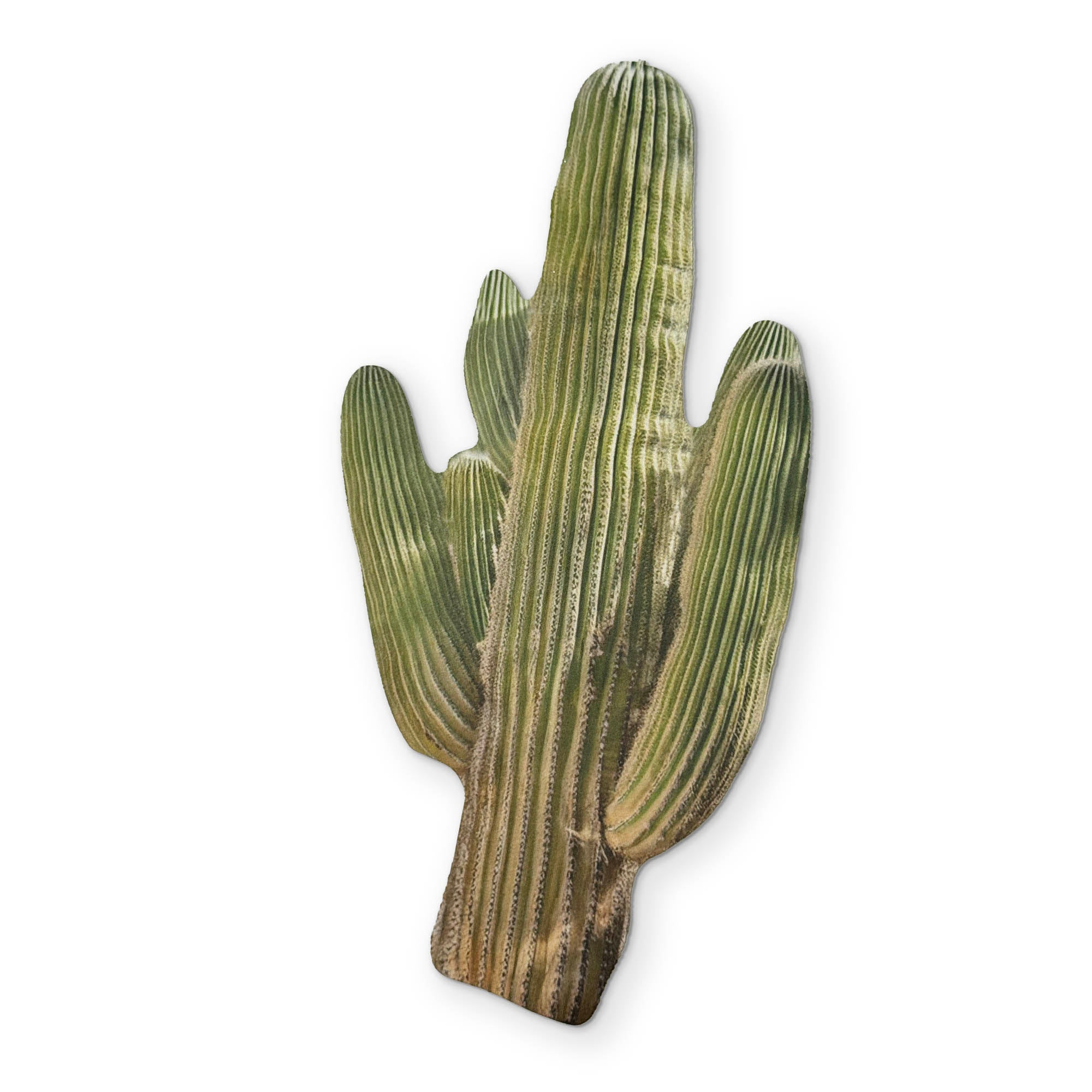 🌵 A CACTUS YOU CAN CLEAN YOUR GLASSES WITH