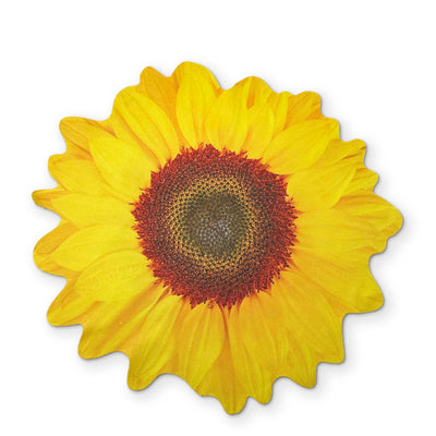 🌻 A SUNFLOWER YOU CAN CLEAN YOUR GLASSES WITH