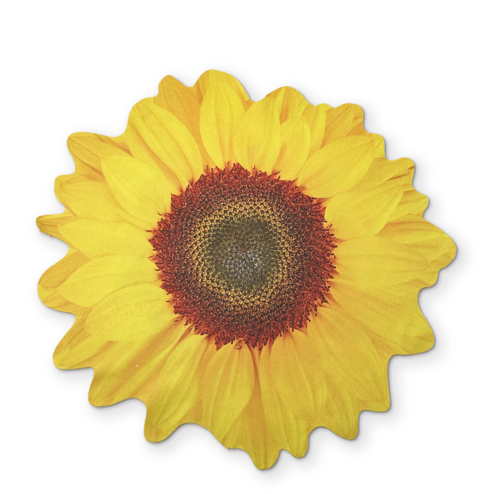 🌻 A SUNFLOWER YOU CAN CLEAN YOUR GLASSES WITH