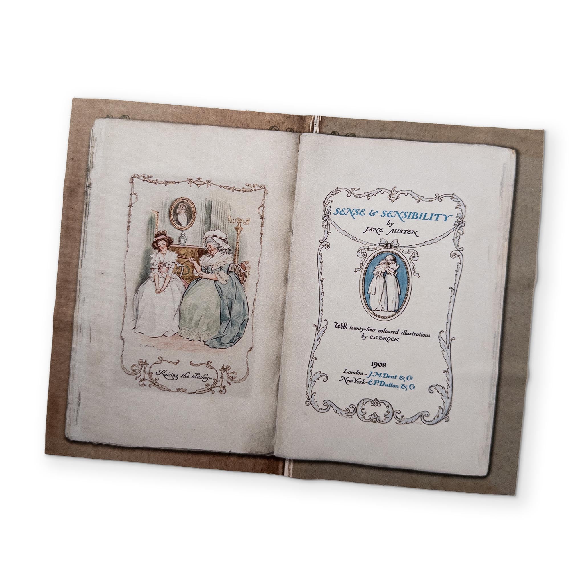 SENSE AND SENSIBILITY - A BOOK YOU CAN CLEAN YOUR GLASSES WITH