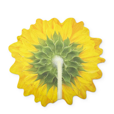 🌻 A SUNFLOWER YOU CAN CLEAN YOUR GLASSES WITH