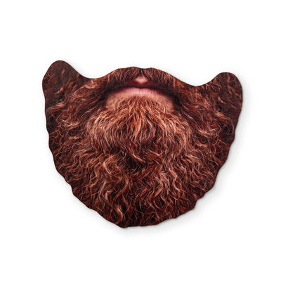 A WIZARD BEARD YOU CAN CLEAN YOUR GLASSES WITH