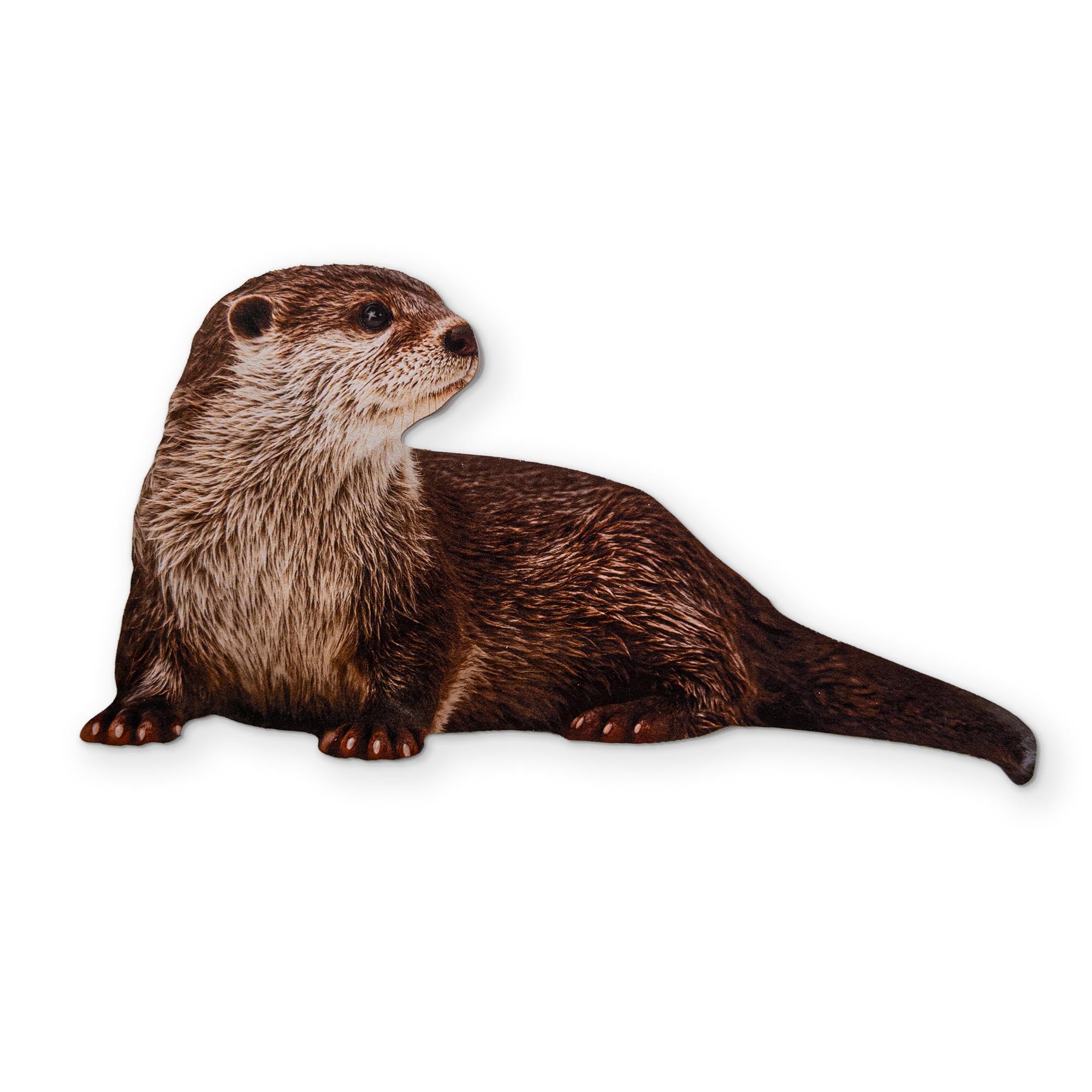 AN OTTER YOU CAN CLEAN YOUR GLASSES WITH
