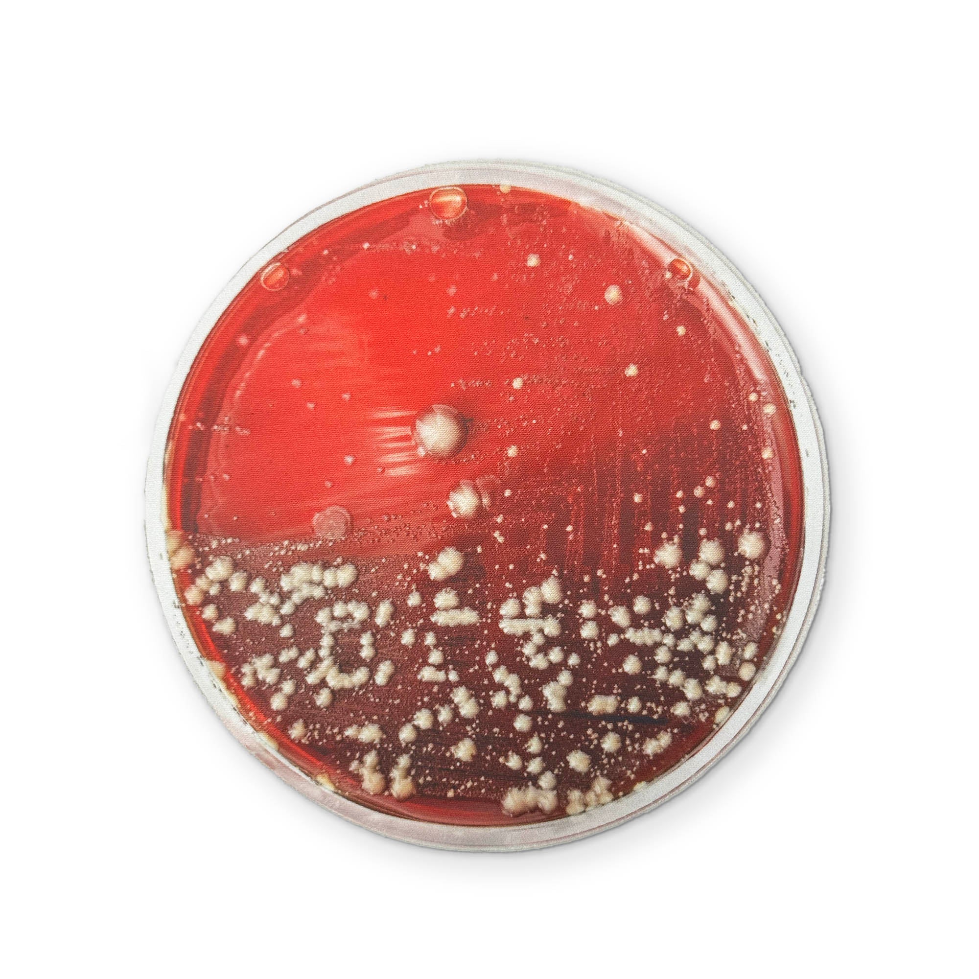 A PETRI DISH YOU CAN CLEAN YOUR GLASSES WITH