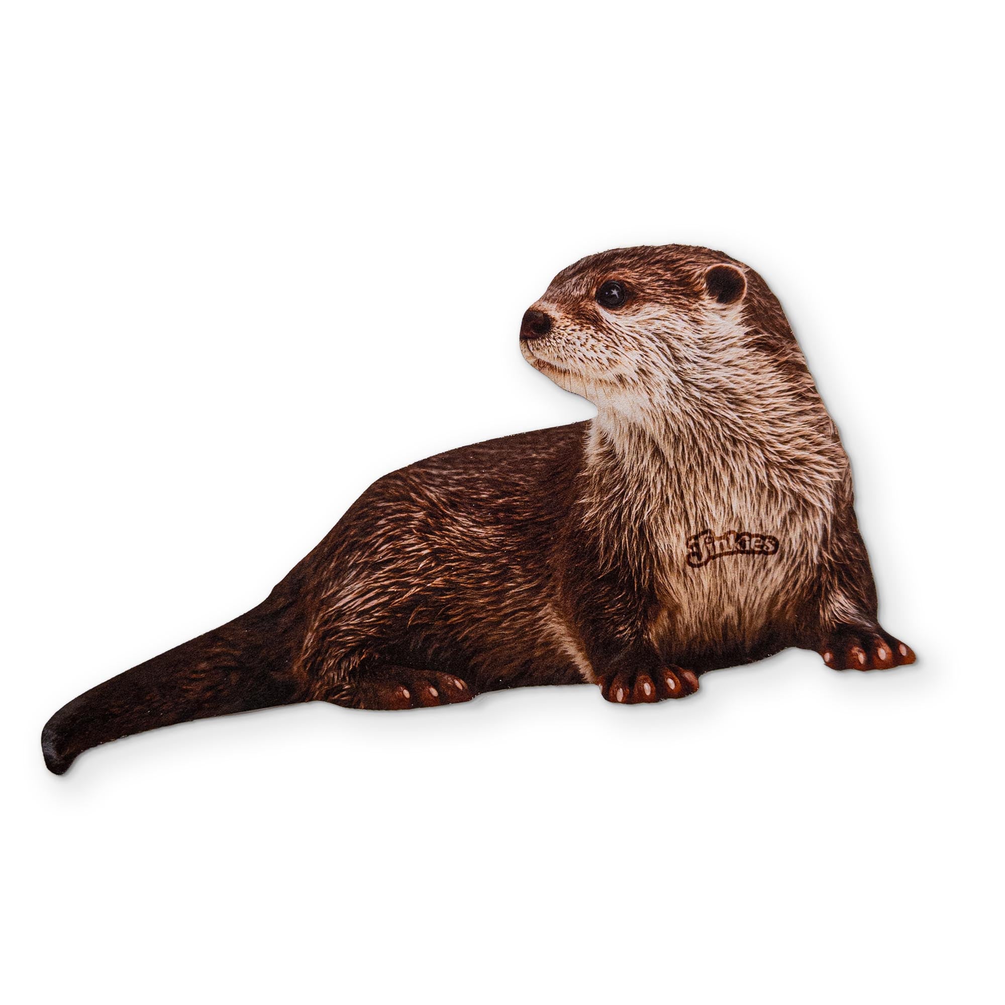 AN OTTER YOU CAN CLEAN YOUR GLASSES WITH
