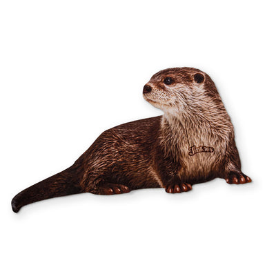 AN OTTER YOU CAN CLEAN YOUR GLASSES WITH