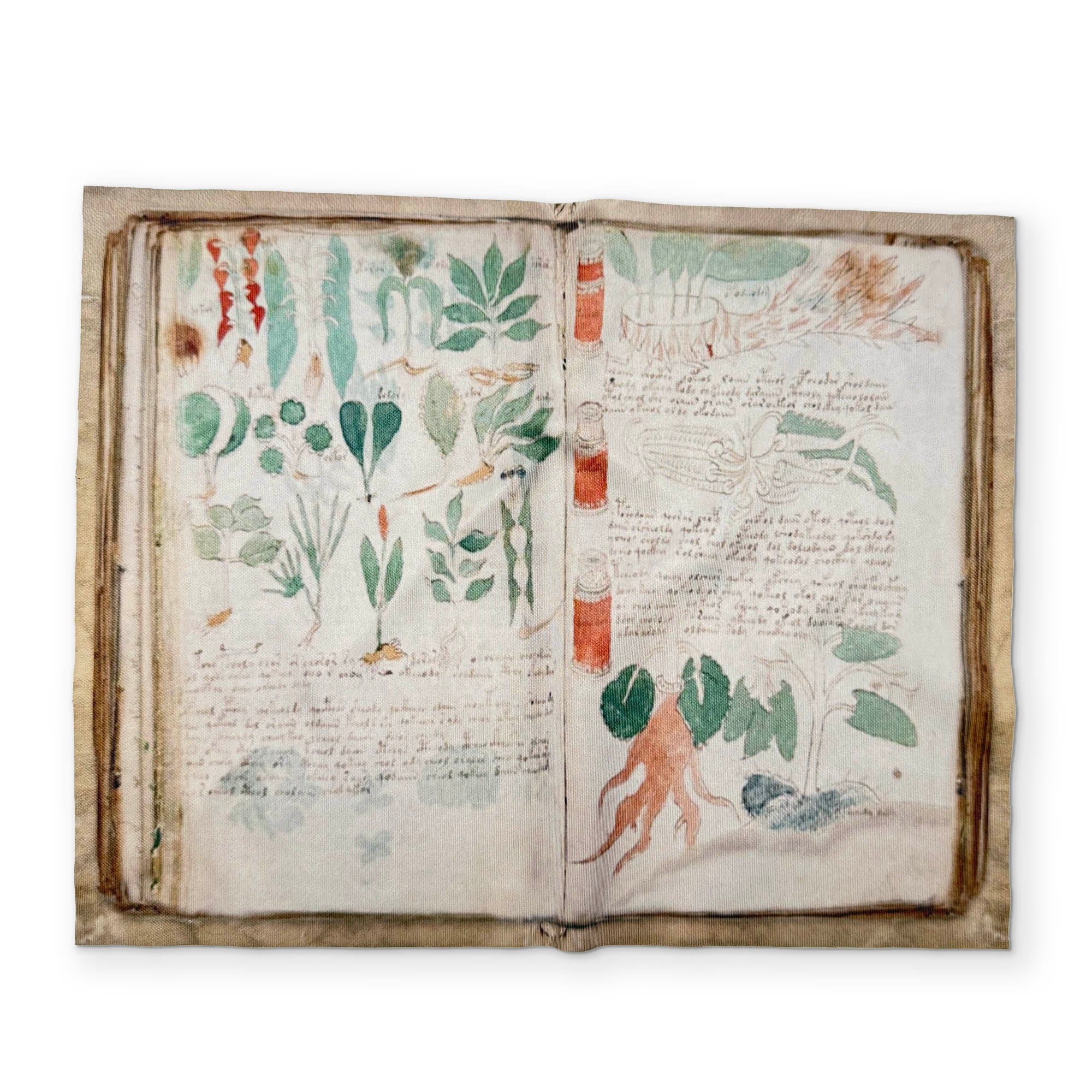 VOYNICH MANUSCRIPT - A BOOK YOU CAN CLEAN YOUR GLASSES WITH