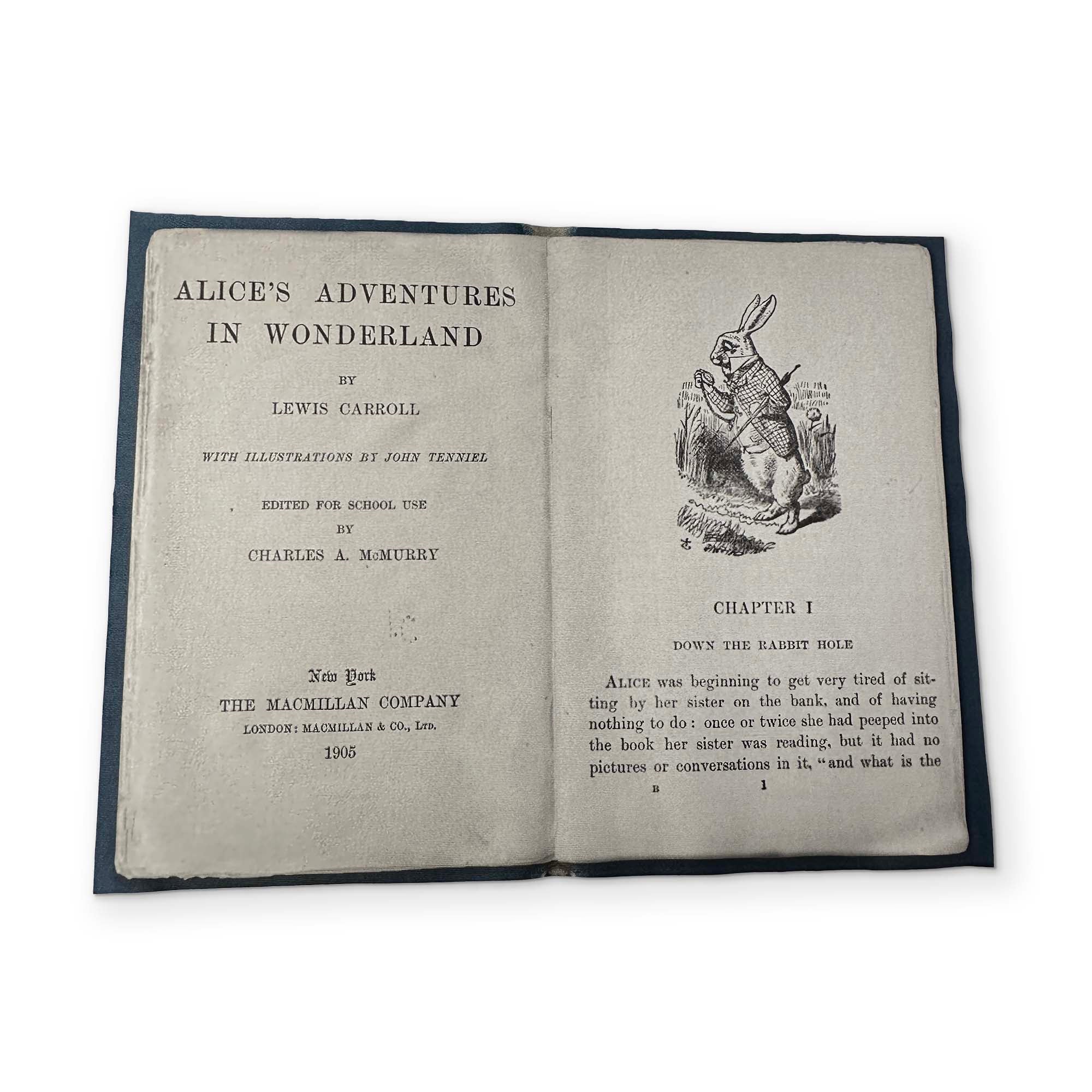 ALICE IN WONDERLAND - A BOOK YOU CAN CLEAN YOUR GLASSES WITH