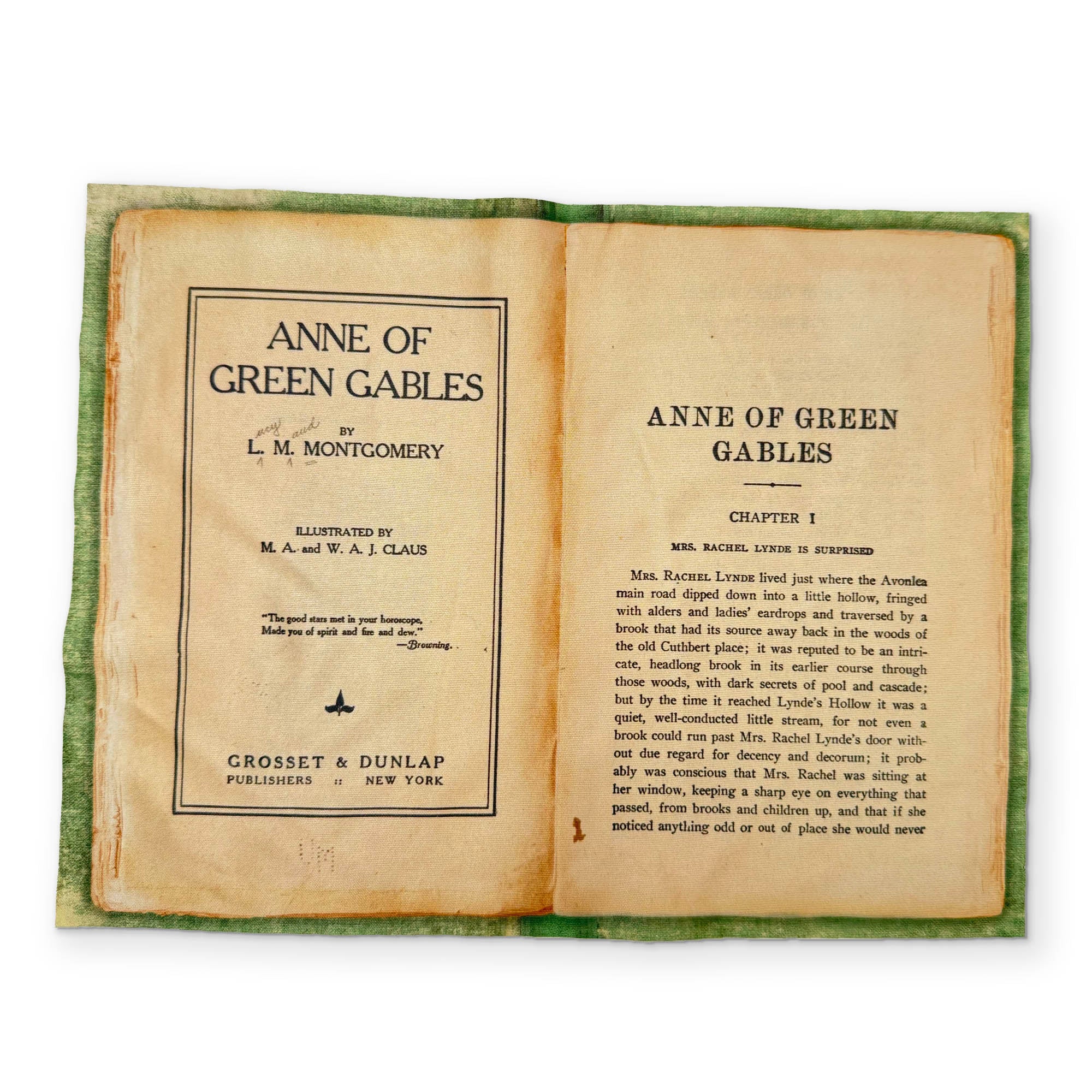 ANNE OF GREEN GABLES - A BOOK YOU CAN CLEAN YOUR GLASSES WITH