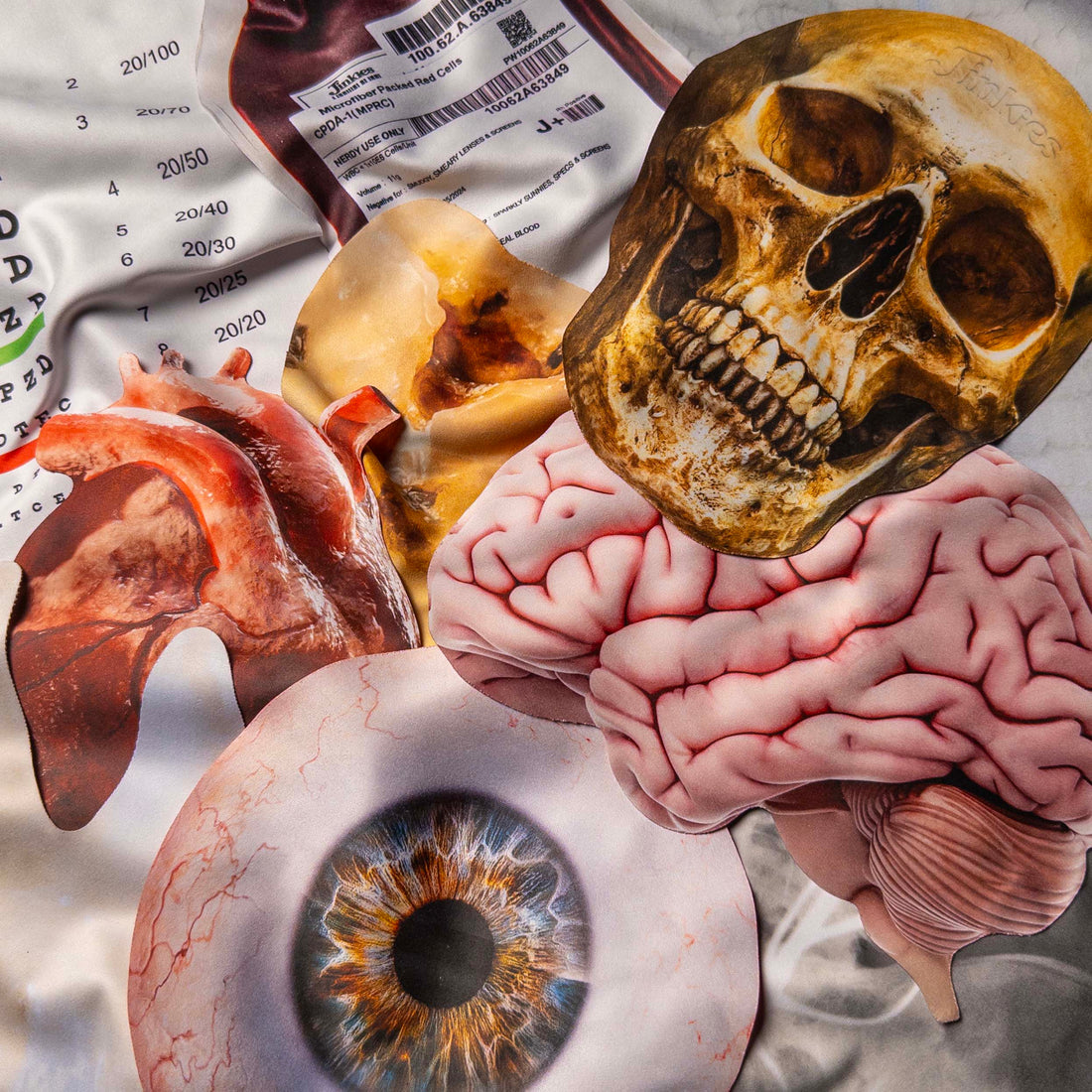 The Anatomy/Medical Bundle – Nerdwax