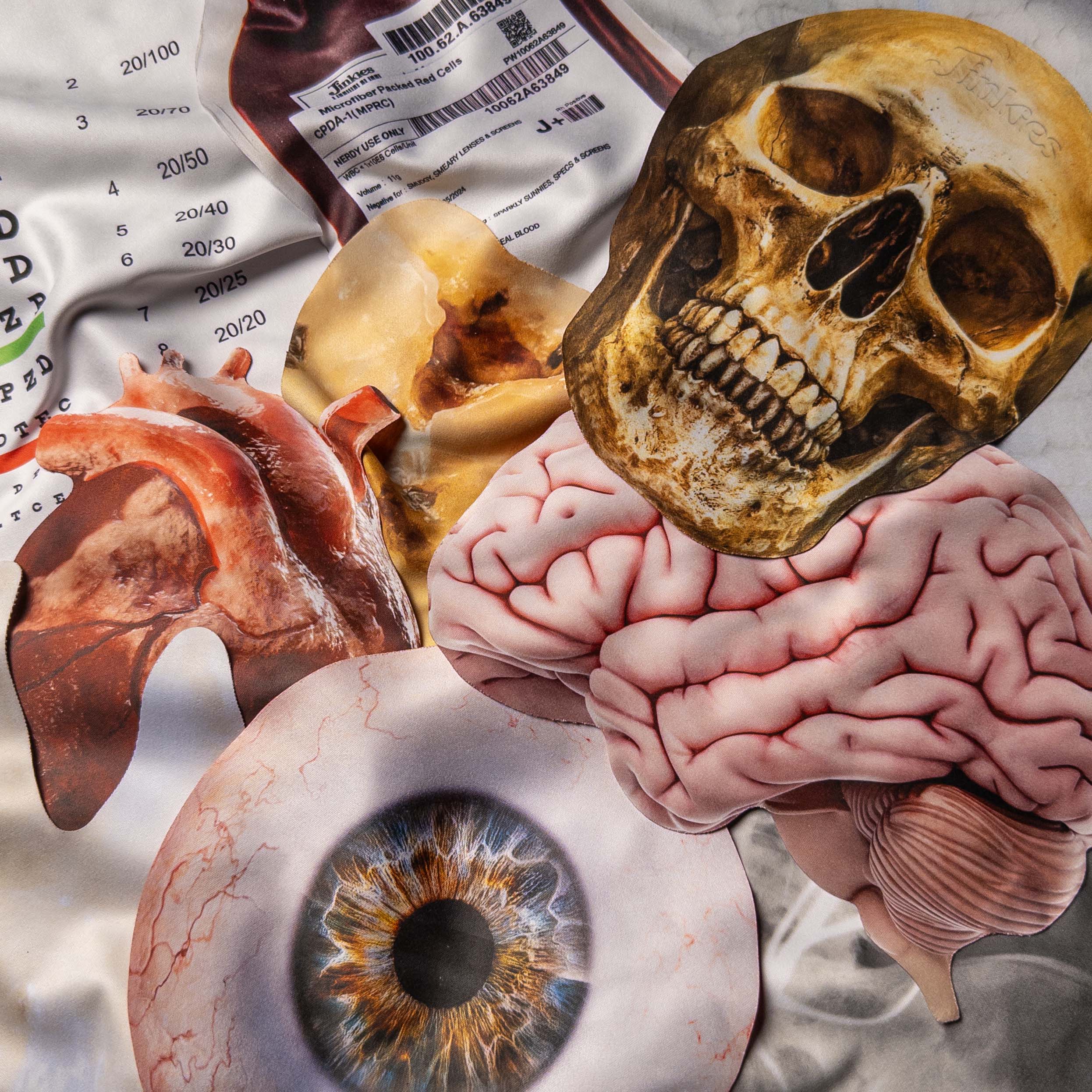 The Anatomy/Medical Bundle