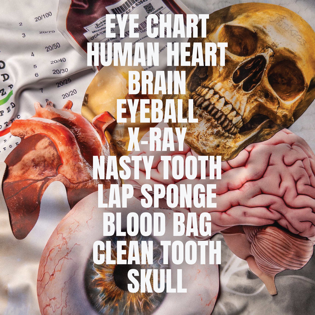 The Anatomy/Medical Bundle – Nerdwax