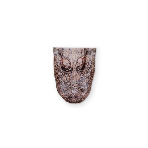 AN ALLIGATOR YOU CAN CLEAN YOUR GLASSES WITH