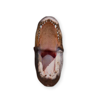 AN ALLIGATOR YOU CAN CLEAN YOUR GLASSES WITH