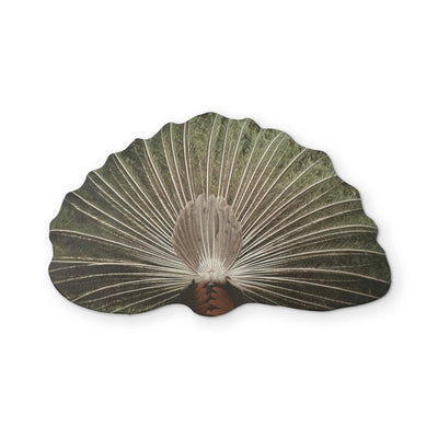 A PEACOCK YOU CAN CLEAN YOUR GLASSES WITH
