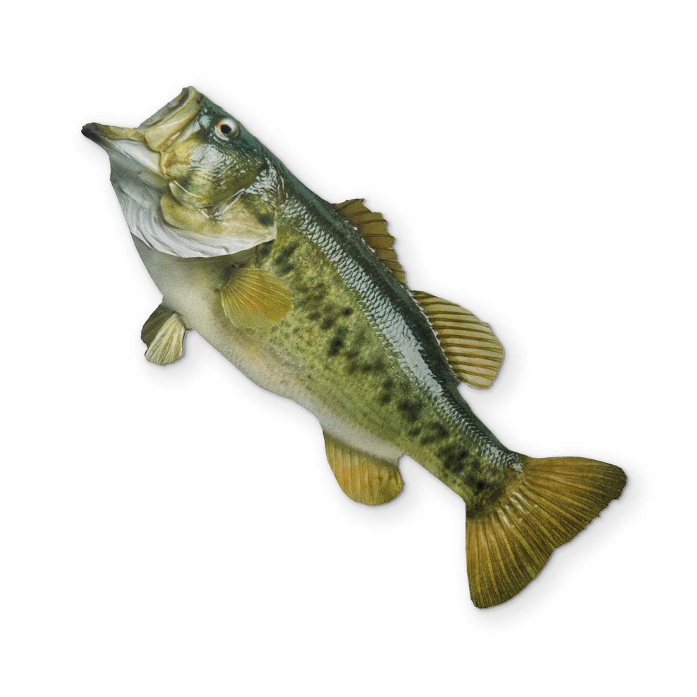 🎣 A BASS YOU CAN CLEAN YOUR GLASSES WITH