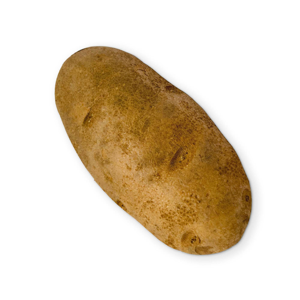 🥔 A POTATO YOU CAN CLEAN YOUR GLASSES WITH