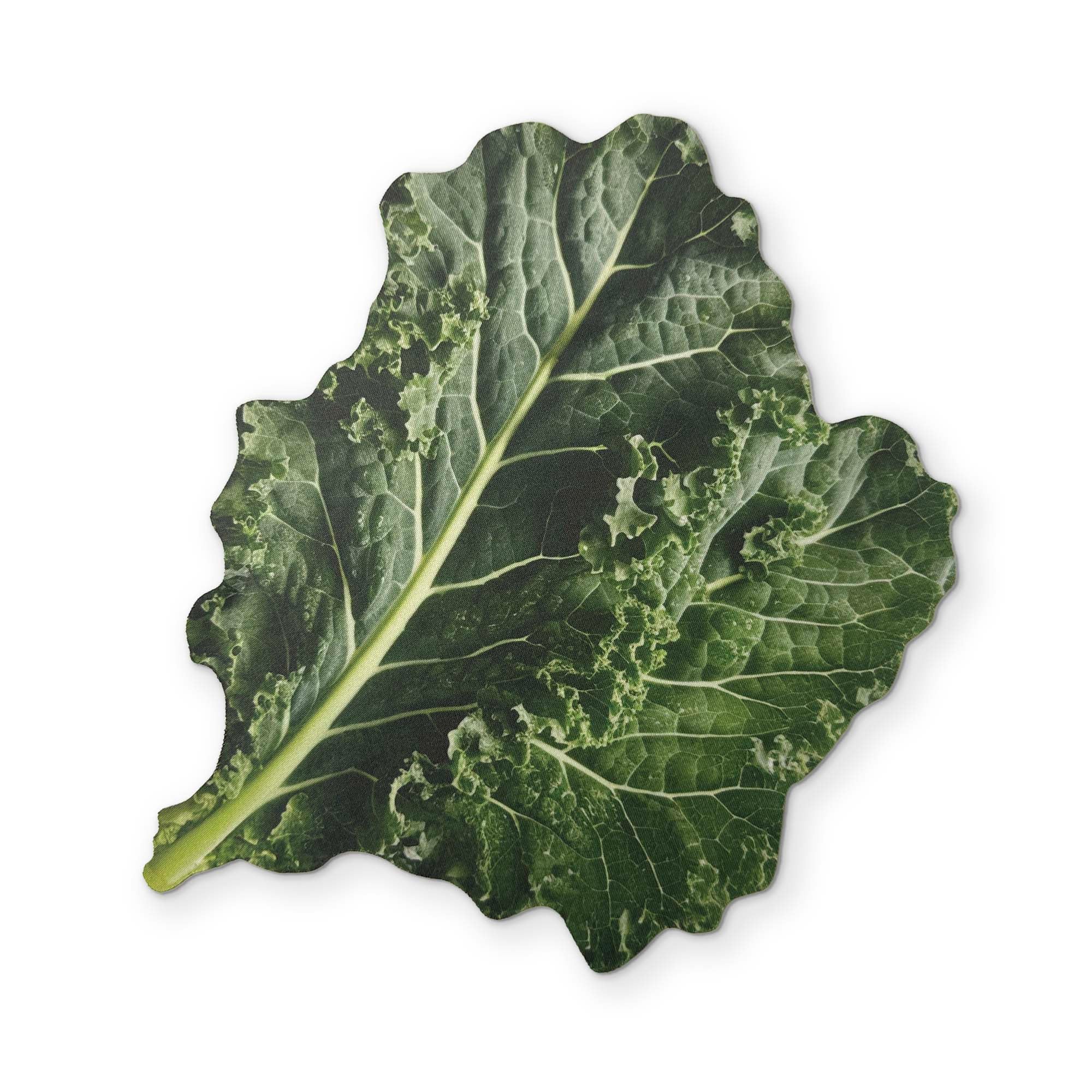 🥬 KALE YOU CAN CLEAN YOUR GLASSES WITH