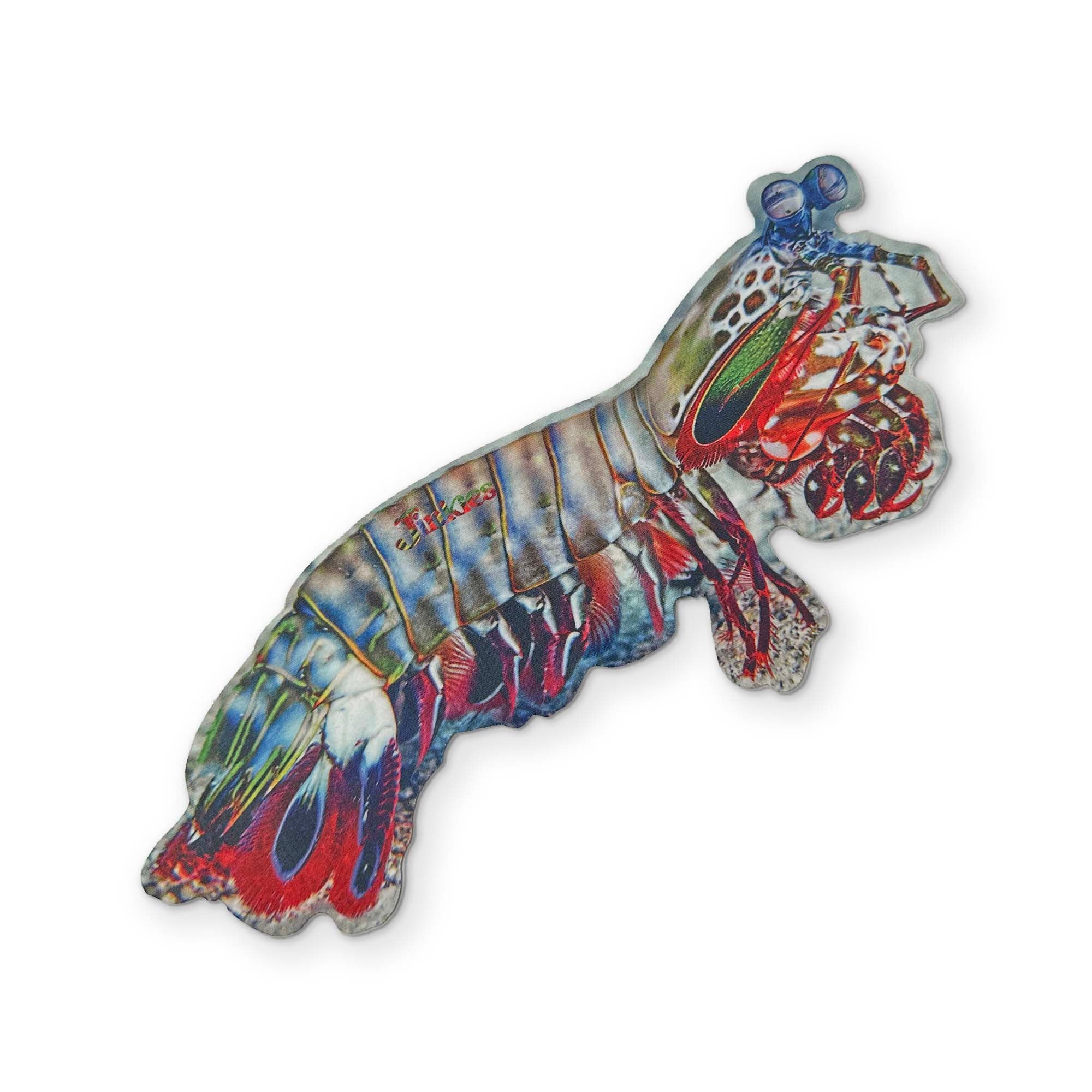 🦐 A PEACOCK MANTIS SHRIMP YOU CAN CLEAN YOUR GLASSES WITH