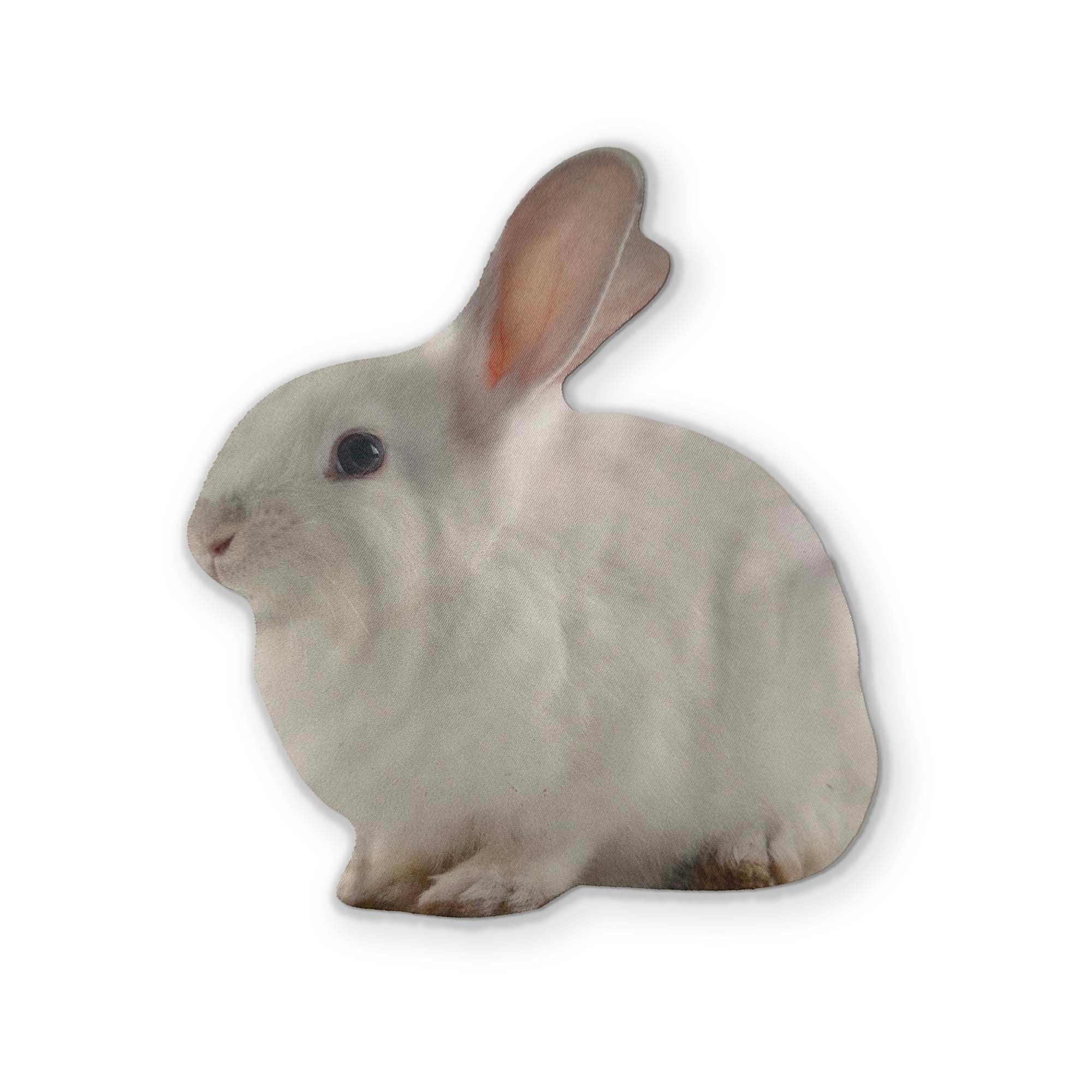 🐰 A BUNNY RABBIT YOU CAN CLEAN YOUR GLASSES WITH