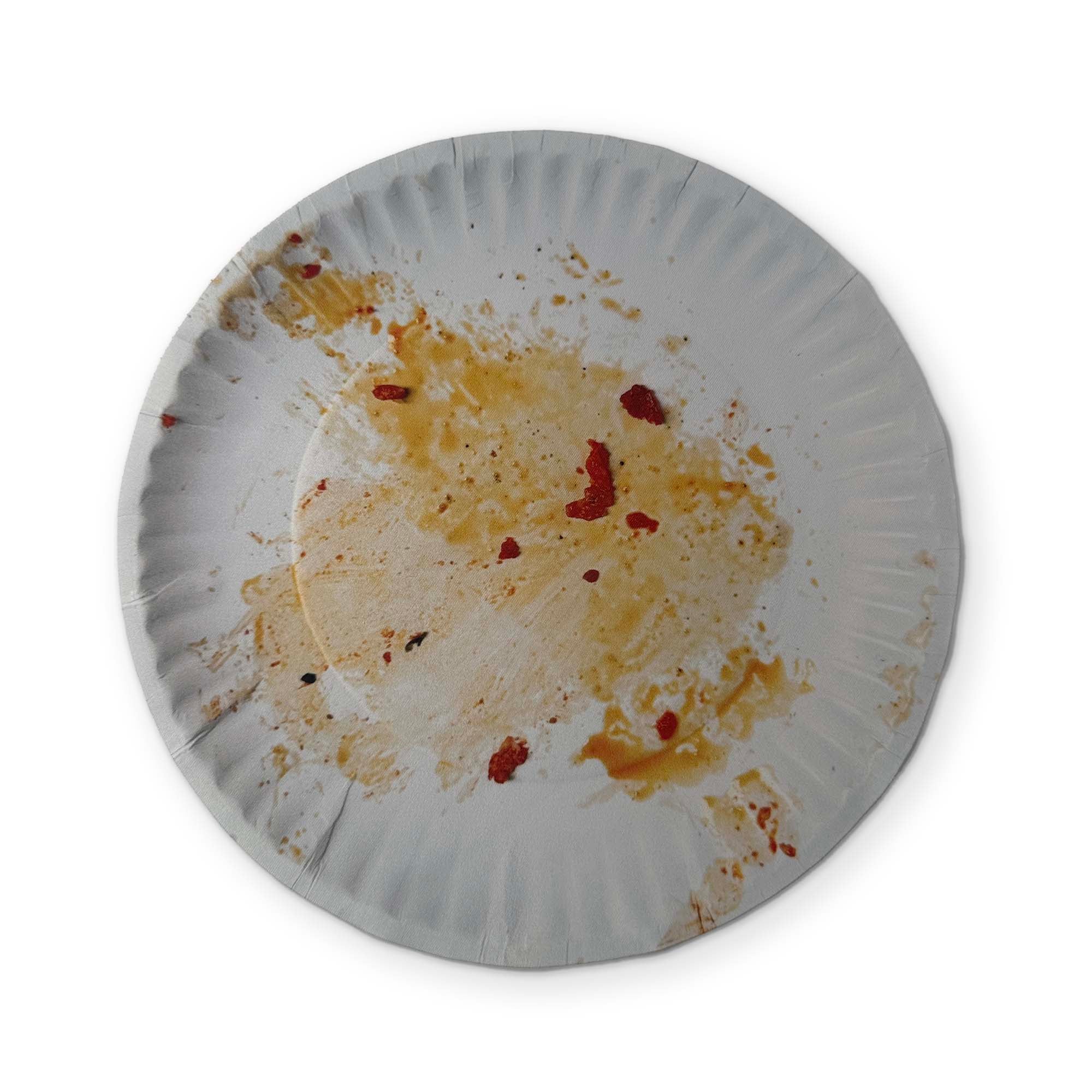 A DIRTY PAPER PLATE YOU CAN CLEAN YOUR GLASSES WITH