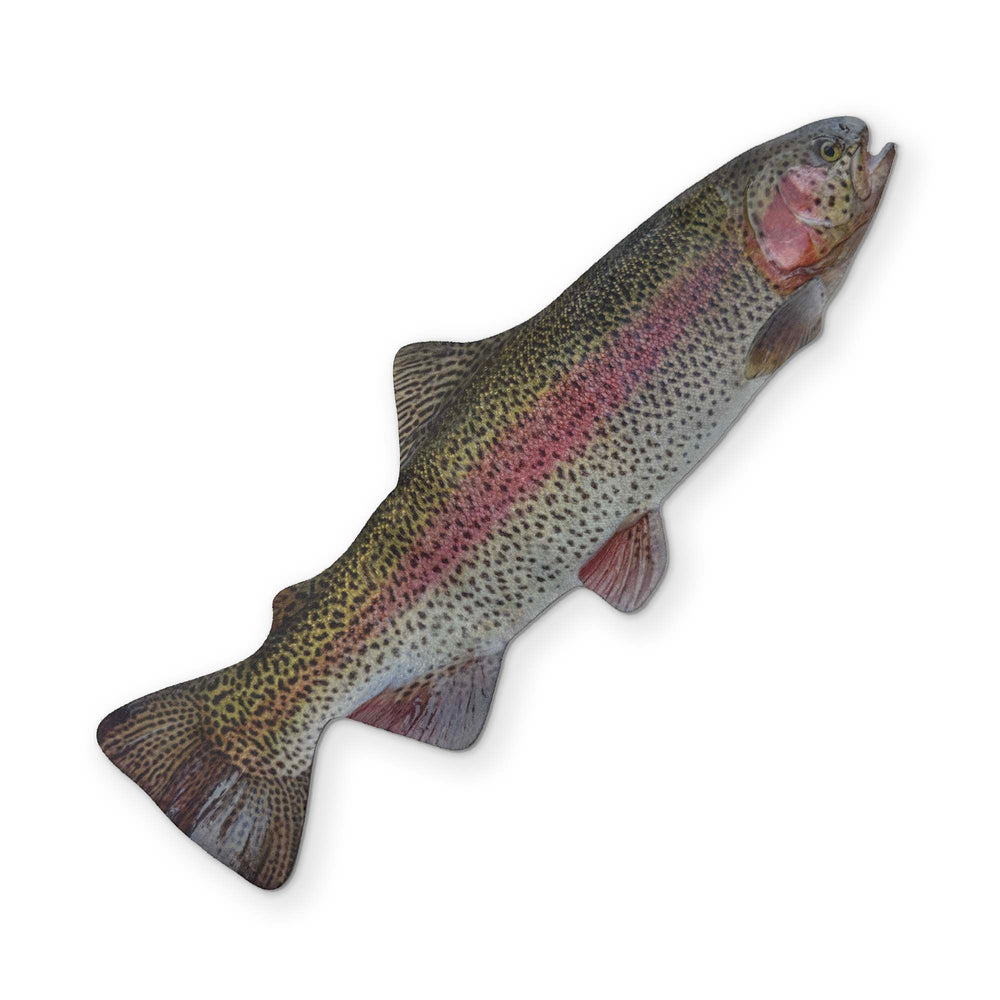 A RAINBOW TROUT YOU CAN CLEAN YOUR GLASSES WITH