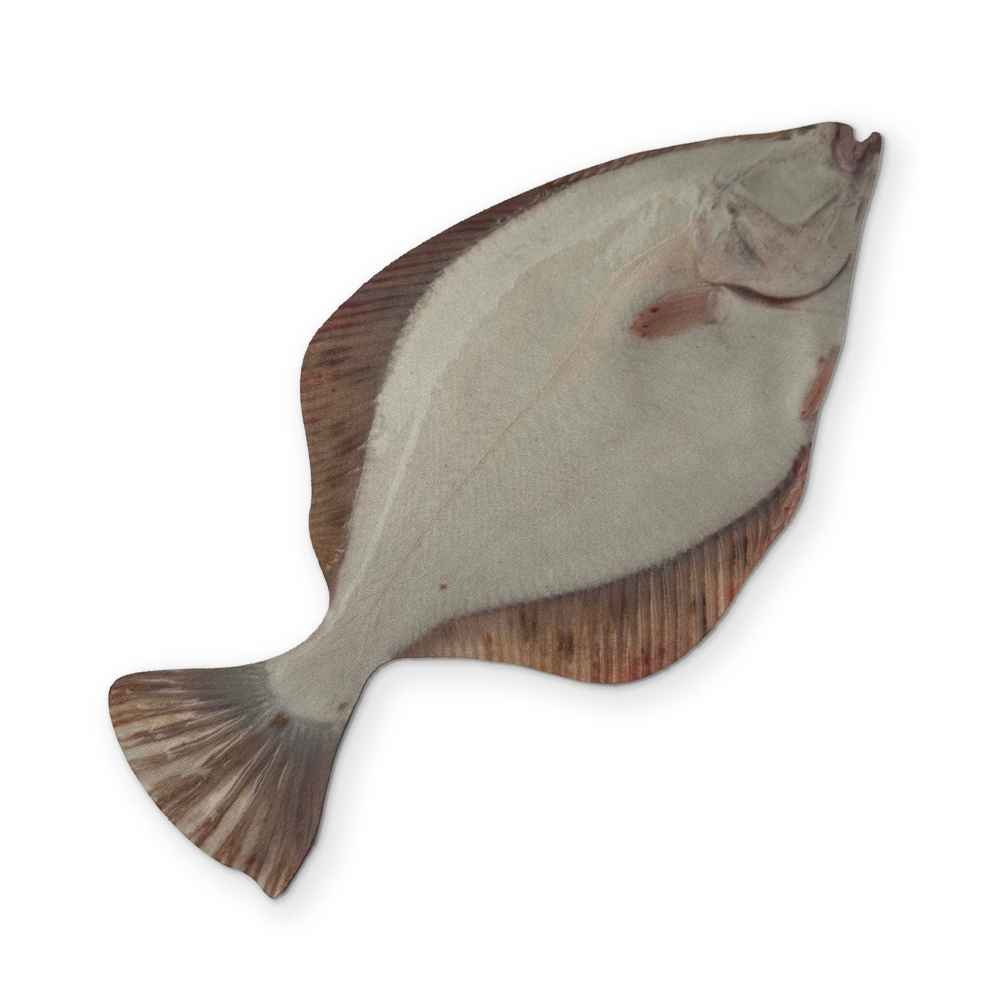 A FLOUNDER YOU CAN CLEAN YOUR GLASSES WITH