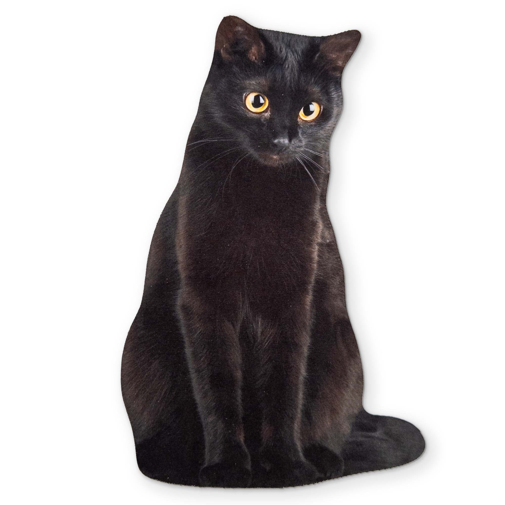 🐈⬛ A BLACK CAT YOU CAN CLEAN YOUR GLASSES WITH