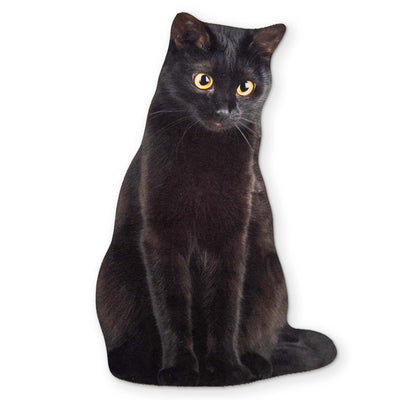 🐈‍⬛ A BLACK CAT YOU CAN CLEAN YOUR GLASSES WITH