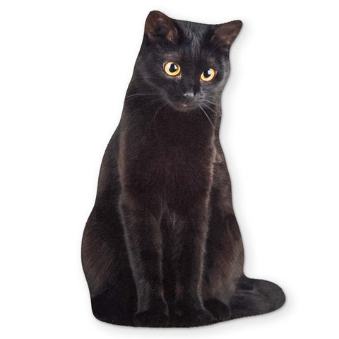 🐈‍⬛ A BLACK CAT YOU CAN CLEAN YOUR GLASSES WITH