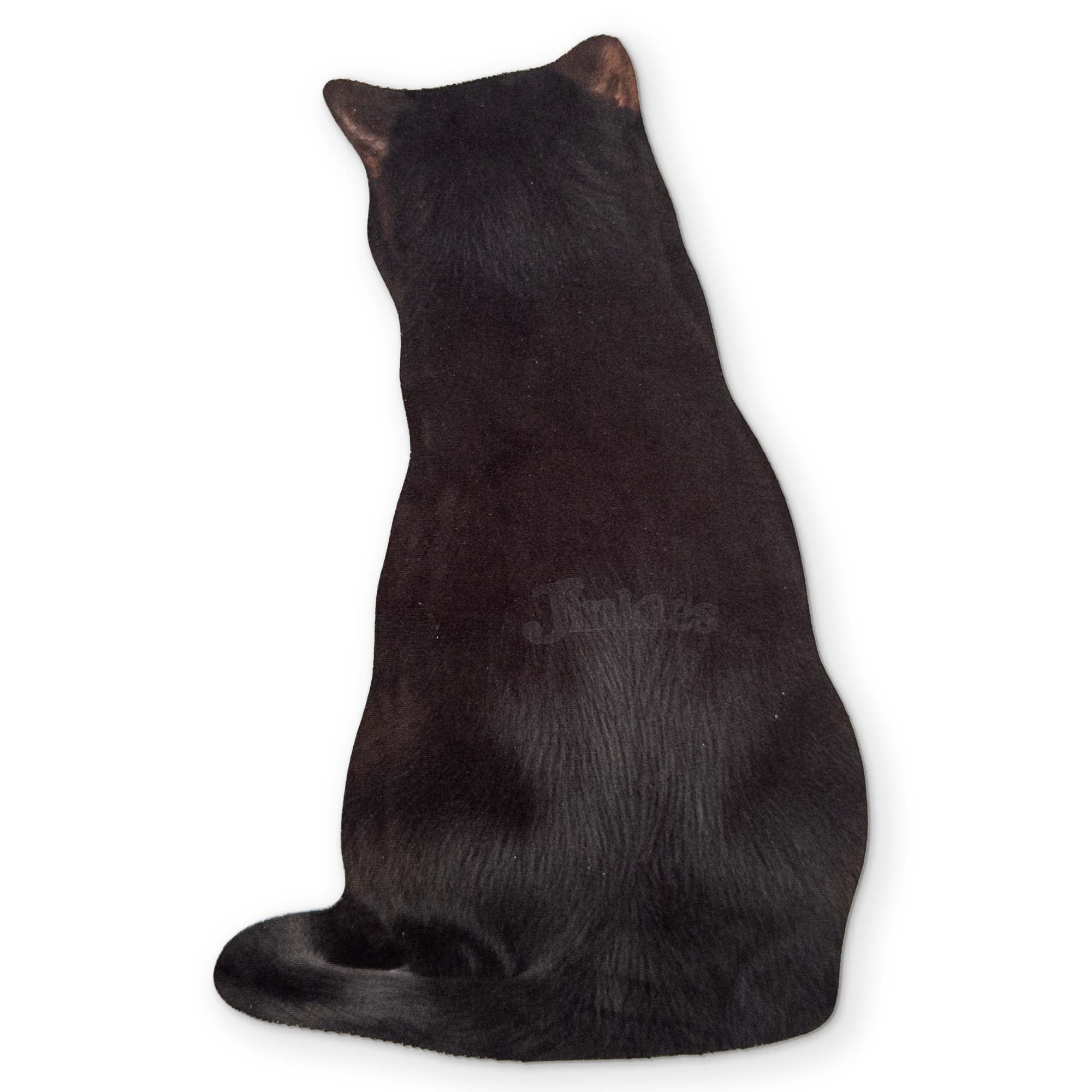 🐈⬛ A BLACK CAT YOU CAN CLEAN YOUR GLASSES WITH