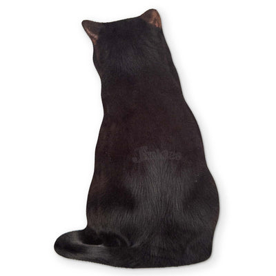 🐈‍⬛ A BLACK CAT YOU CAN CLEAN YOUR GLASSES WITH
