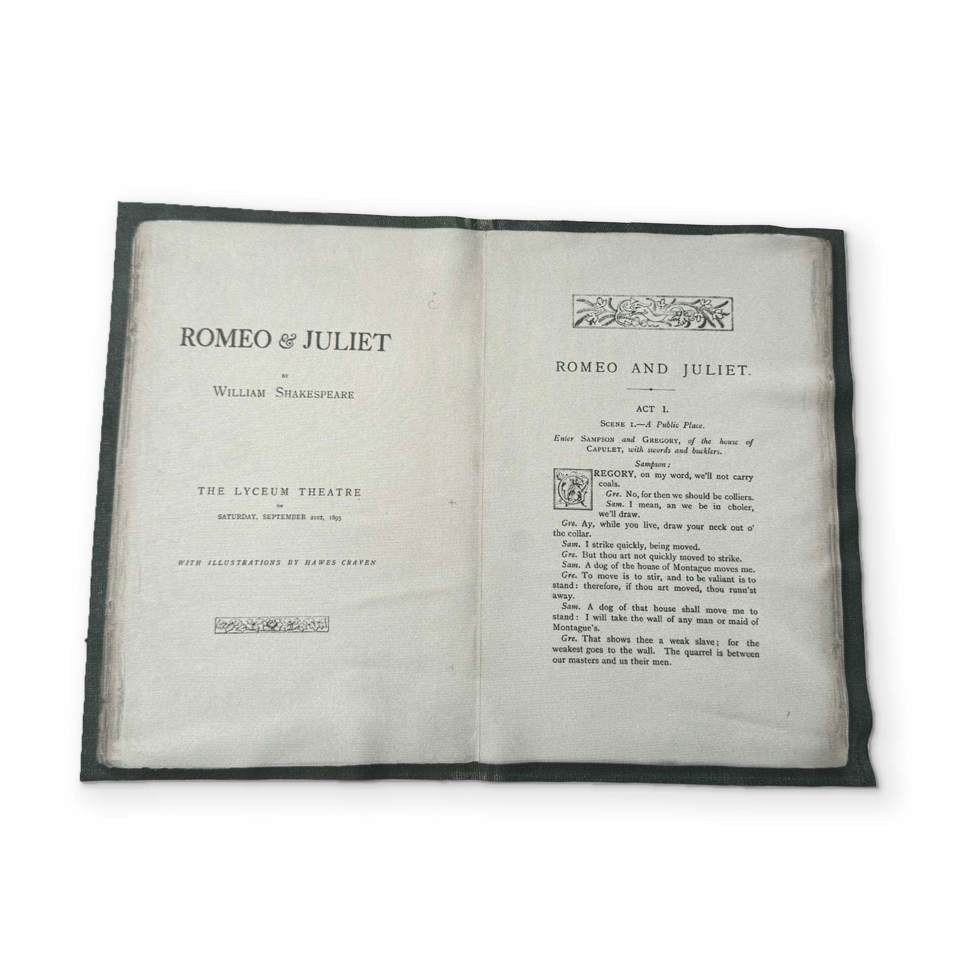 ROMEO & JULIET - A BOOK YOU CAN CLEAN YOUR GLASSES WITH