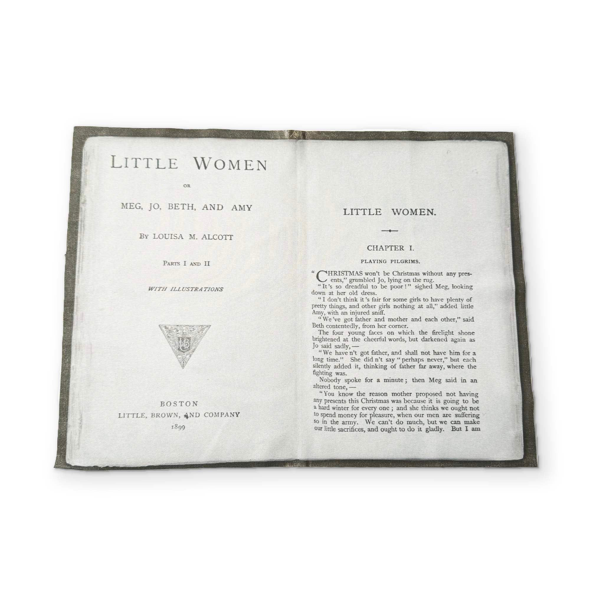 LITTLE WOMEN - A BOOK YOU CAN CLEAN YOUR GLASSES WITH