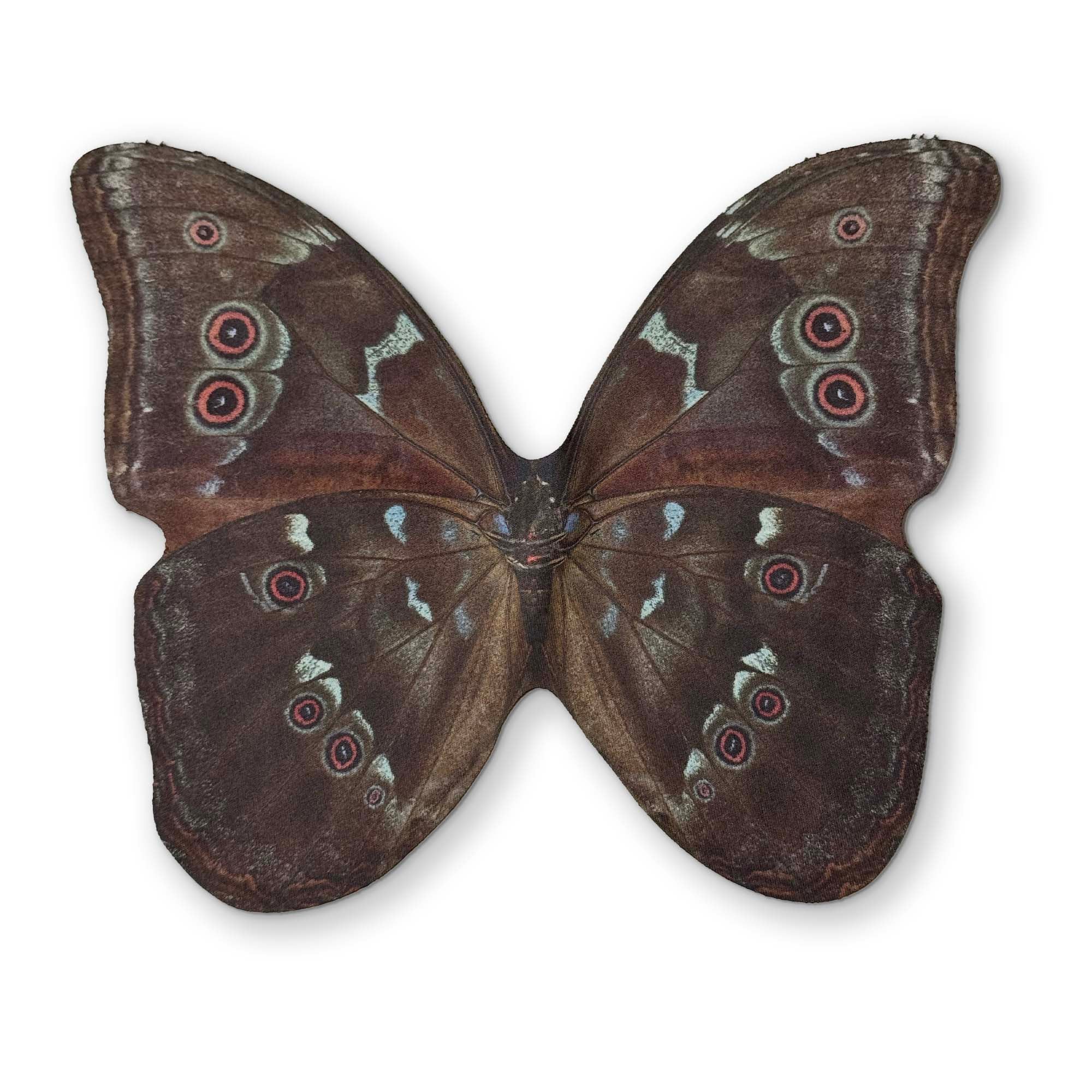 🦋 A BUTTERFLY YOU CAN CLEAN YOUR GLASSES WITH